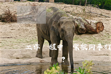 工作過程中勸架被同事打成植物人是工傷嗎？